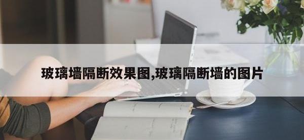 玻璃墙隔断效果图,玻璃隔断墙的图片