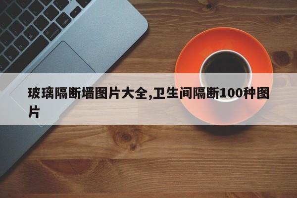玻璃隔断墙图片大全,卫生间隔断100种图片
